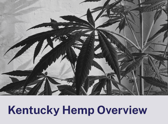 Kentucky Hemp Overview.png